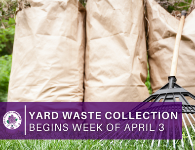 yard waste paper backs with rake and green grass