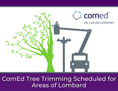 tree trimming graphic with text