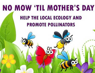 illustration of flower bed with bees and butterflies