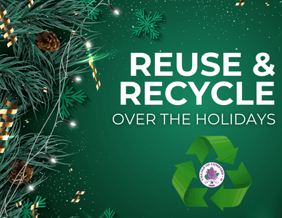 green background with holiday lights and pines and overlay text 