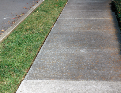 sidewalk with green grass on parkway