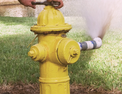 Yellow fire hydrant with green grass surrounding it