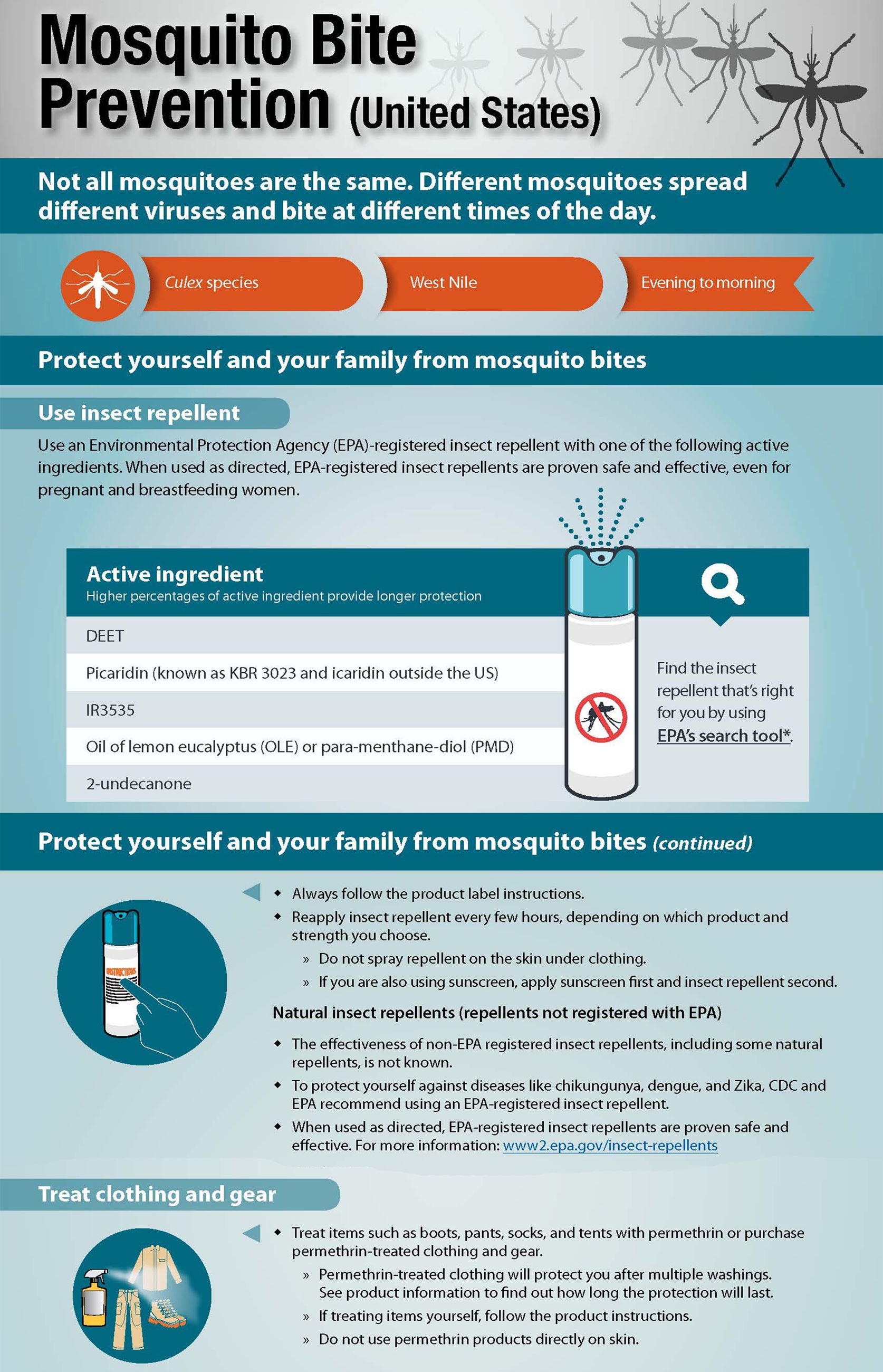 Mosquito Prevention CDC Infographic