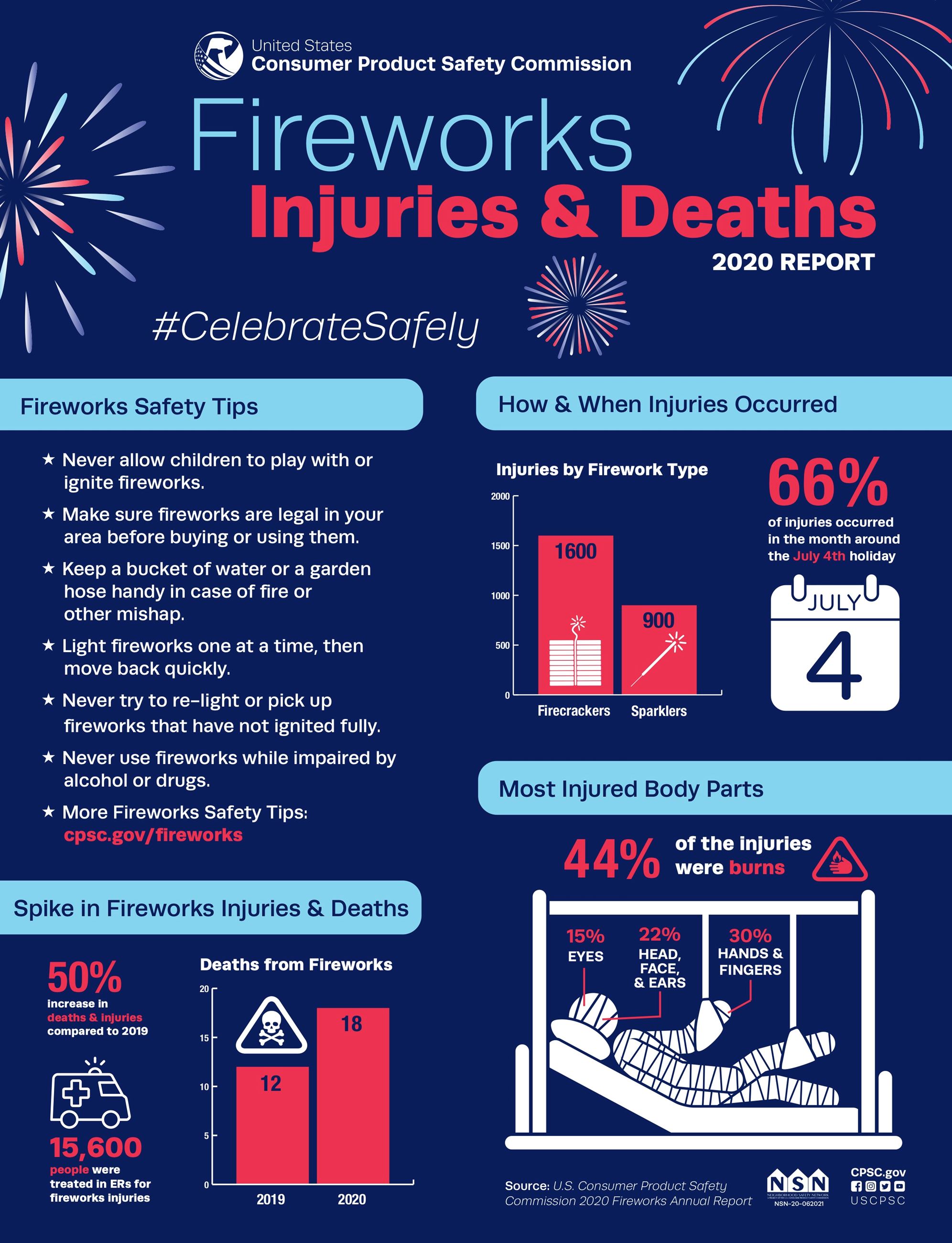 Fireworks Infographic